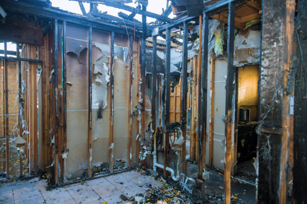 Professional Fire Damage Removal technician working in Socorro, NM